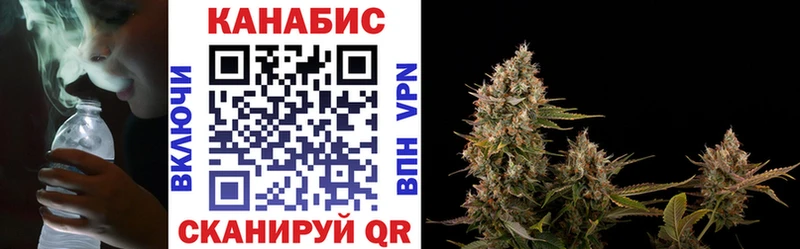 Бошки Шишки семена Суоярви